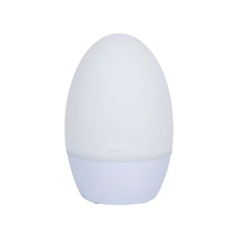 GroEgg2