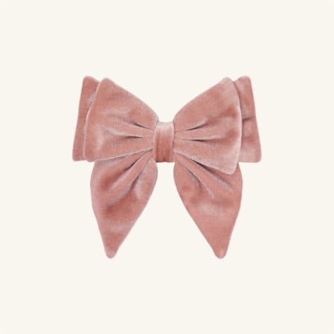 Farhin Fall Velour Bow