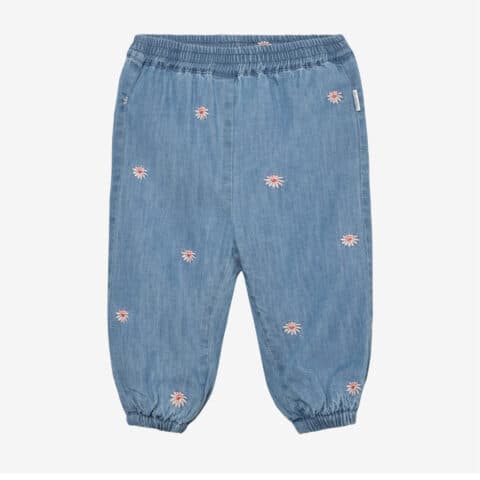 Pants Chambray