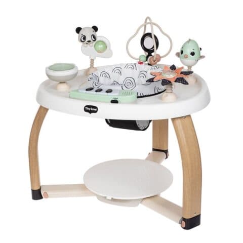 5 in 1 Stationary Activity Center